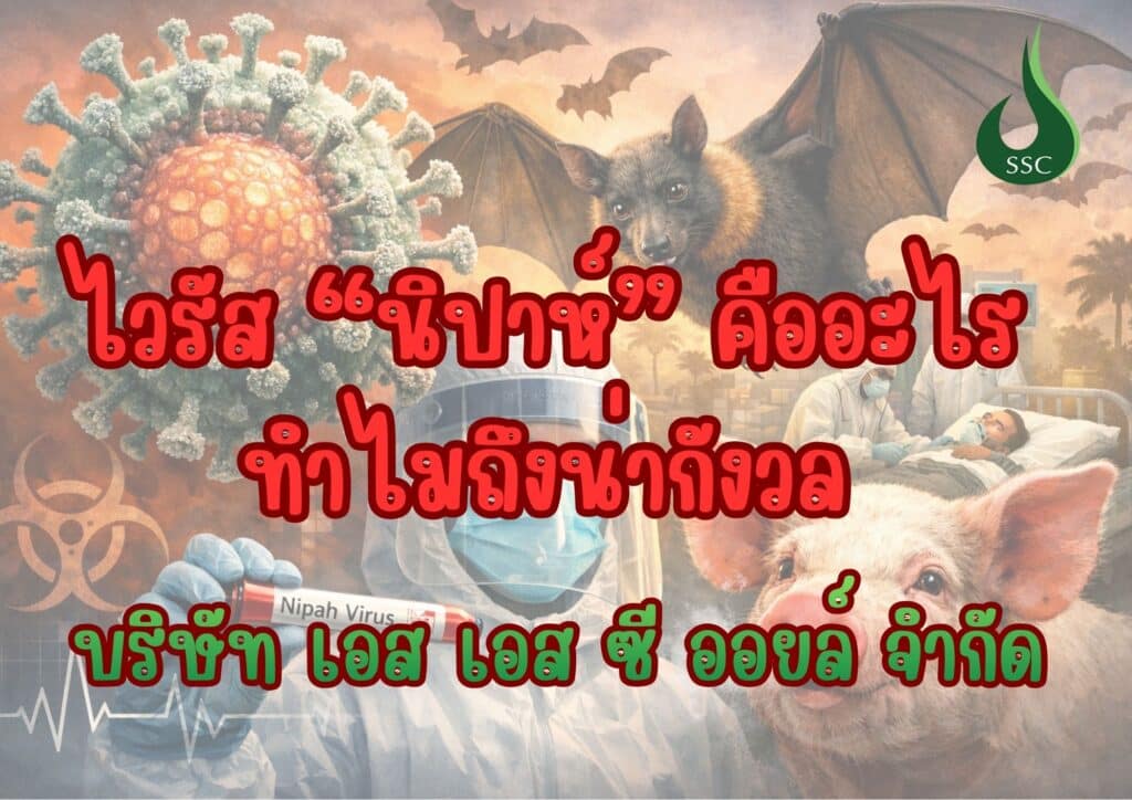 ไวรัส นิปาห์ คืออะไร ทำไมถึงน่ากังวล